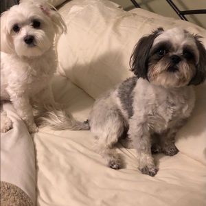 Meet your Posher, Tracey